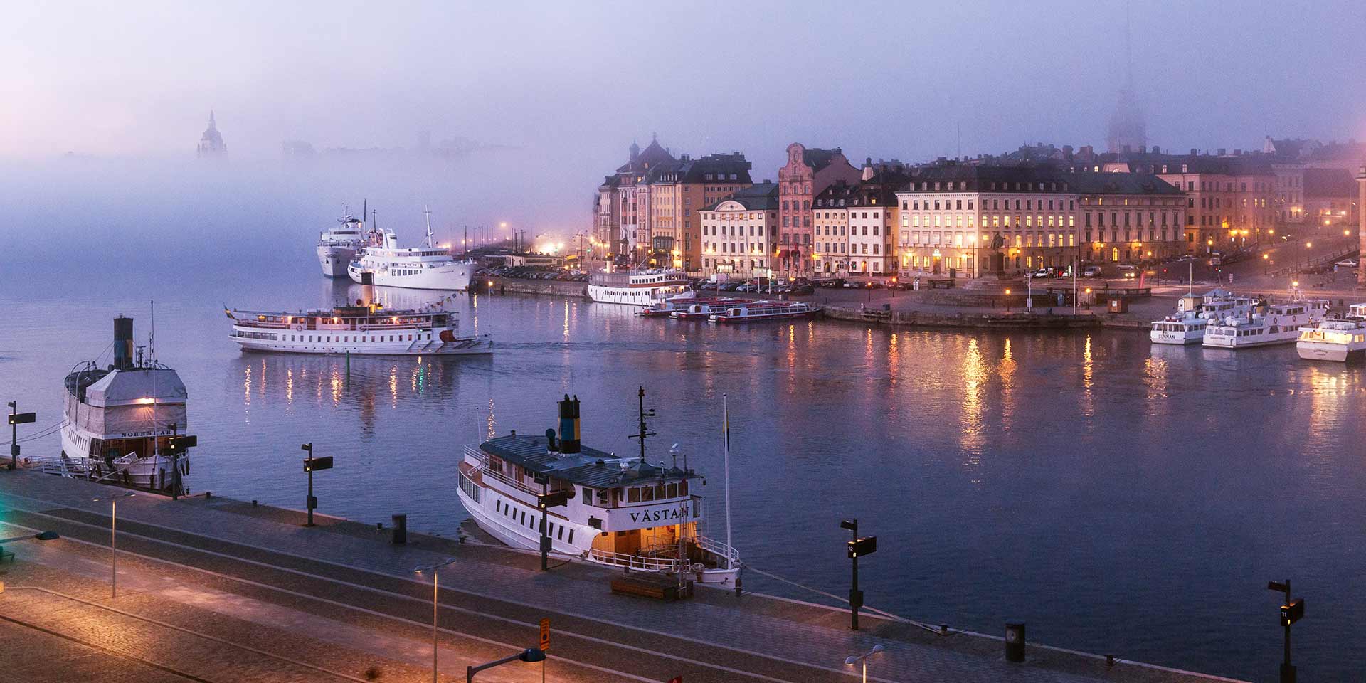 Stockholm i dimma, vy från slottet.